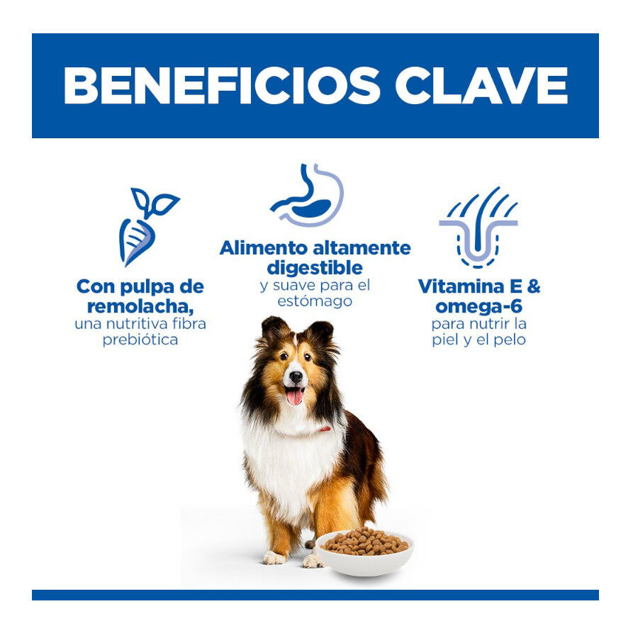14 kg Hill's Science Plan Sensitive Stomach y Skin Adult Frango ra&ccedil;&atilde;o para c&atilde;es, , large Imagem n&uacute;mero 3