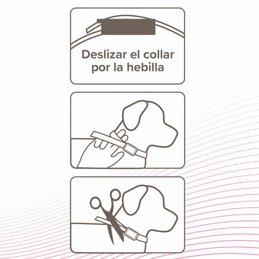 Beaphar CaniComfort Adult Coleira Anti Stress para c&atilde;es, , large Imagem n&uacute;mero 4