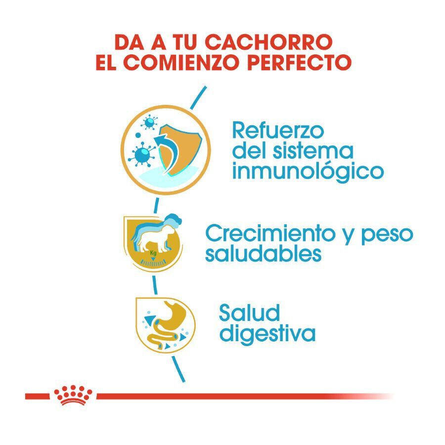 12 kg Royal Canin Puppy Labrador Retriever ra&ccedil;&atilde;o para c&atilde;es, , large Imagem n&uacute;mero 6