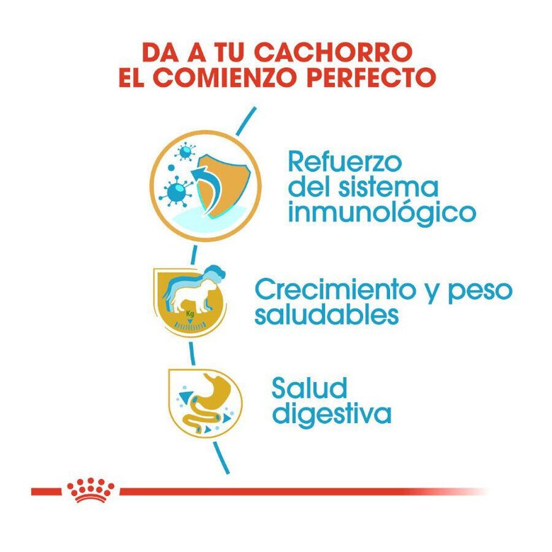 12 kg Royal Canin Puppy Labrador Retriever ração para cães,  Imagem número 6 12 kg Royal Canin Puppy Labrador Retriever ração para cães, , large Imagem número 6