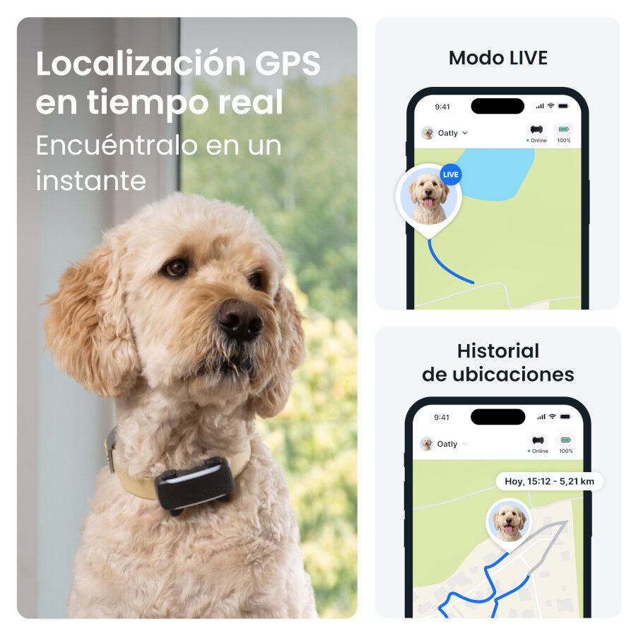 Tractive DOG 6 XL Preto GPS para c&atilde;es, , large Imagem n&uacute;mero 2