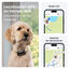 Tractive DOG 6 XL Preto GPS para c&atilde;es, , large Indicador imagem n&uacute;mero 2