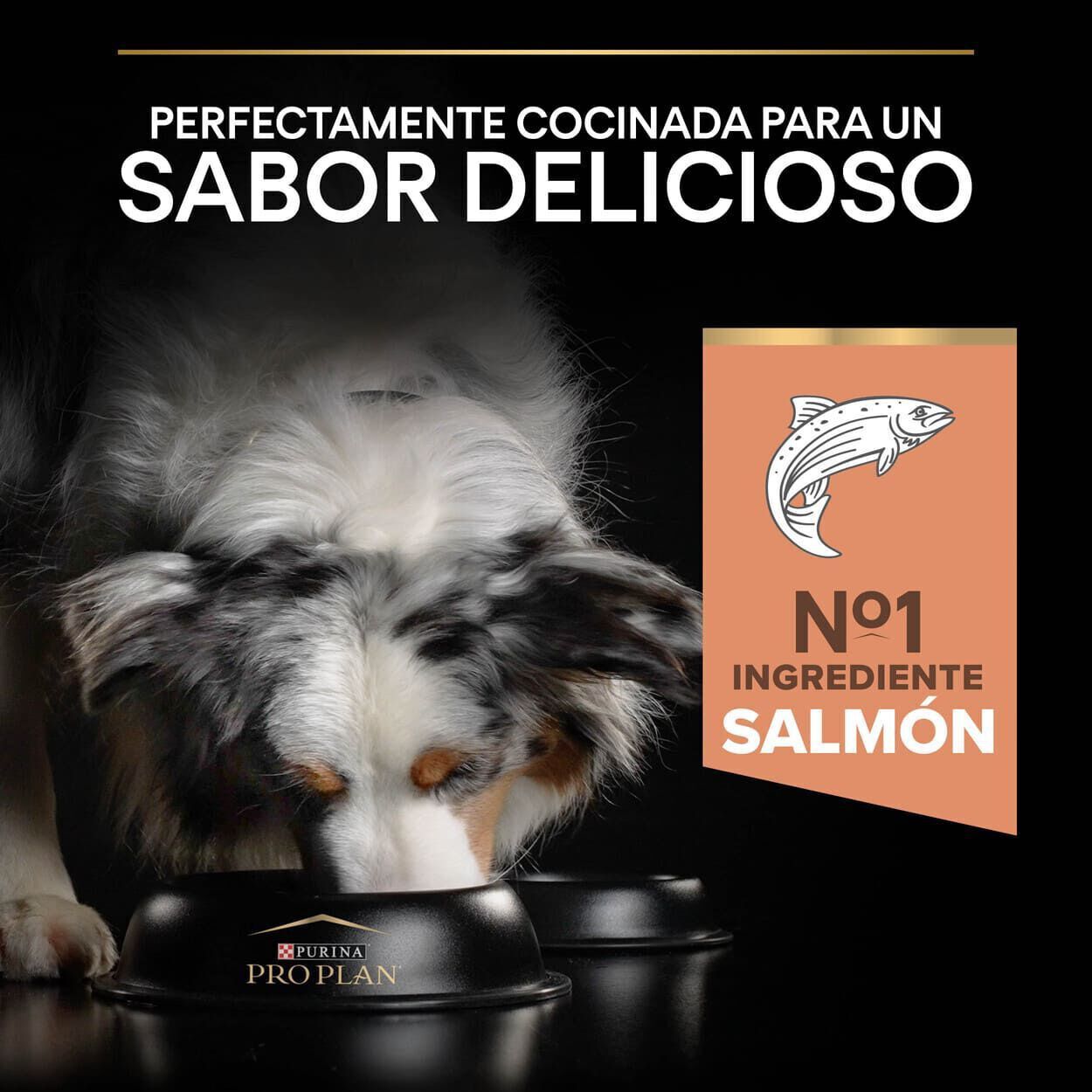 14 kg Pro Plan Adult Medium Sensitive Skin Salm&atilde;o ra&ccedil;&atilde;o para c&atilde;es, , large Imagem n&uacute;mero 7