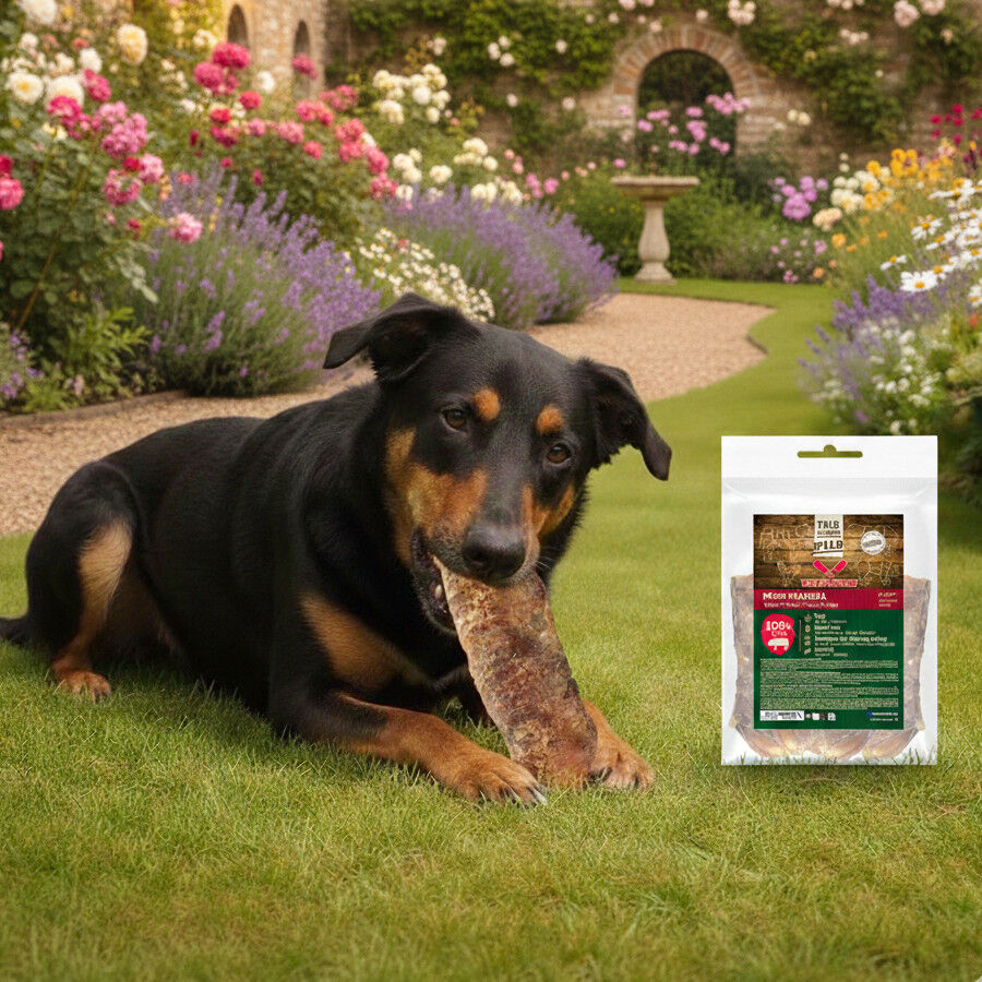 True Origins Wild Tr&aacute;quea Cerdo Snack para perros, , large Imagem n&uacute;mero 1