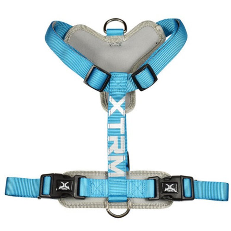 Nayeco X-TRM Cronos Neon Peitoral Azul para cães,  Imagem número 1 Nayeco X-TRM Cronos Neón azul arnés para perros Imagem número 1