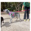 Freedog Cool Pro Tech Peitoral Desportivo Fúscia para cães, , large Indicador imagem número 5