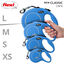 Flexi New Classic Trela Extensível de Fita Azul para Cães, , large Indicador imagem número 4