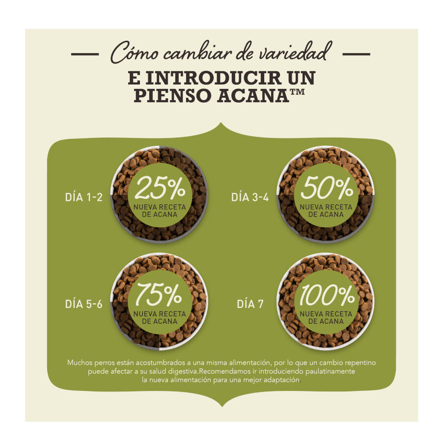 1.8 kg Acana Highest Protein Indoor Ra&ccedil;&atilde;o de frango, salm&atilde;o e truta para gatos, , large Imagem n&uacute;mero 4