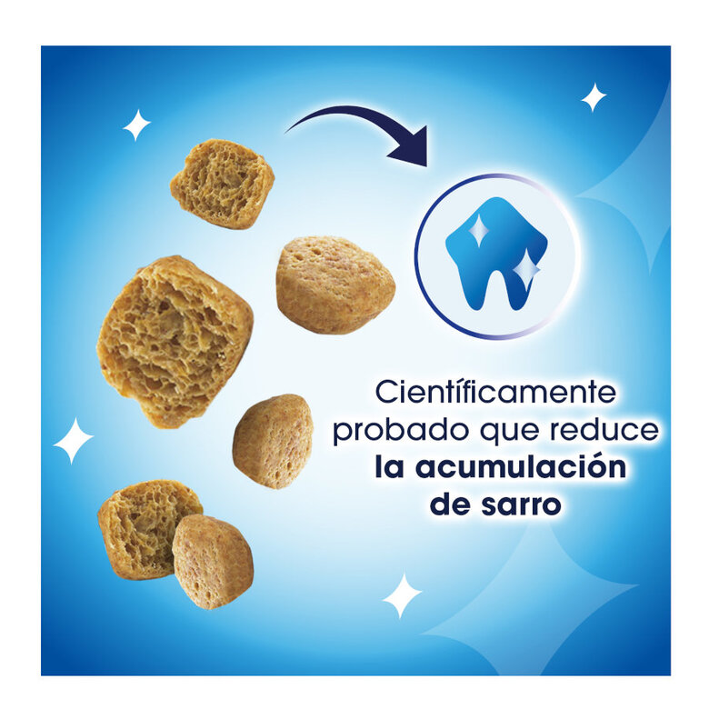 40 g Dentalife Snack Dentários Frango para gatos,  Imagem número 3 40 g Dentalife Snack Dentários Frango para gatos, , large Imagem número 3