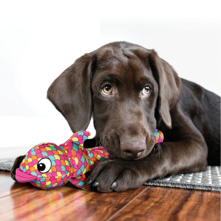 Kong Wubba Finz Pink brinquedo para c&atilde;es, , large Imagem n&uacute;mero 2