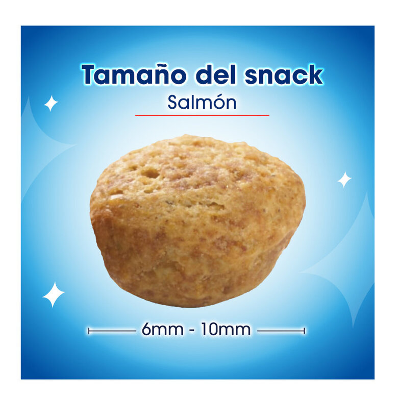 40 g Dentalife Daily Oral Salmão Snacks Dentários para gatos,  Imagem número 5 40 g Dentalife Daily Oral Salmão Snacks Dentários para gatos, , large Imagem número 5