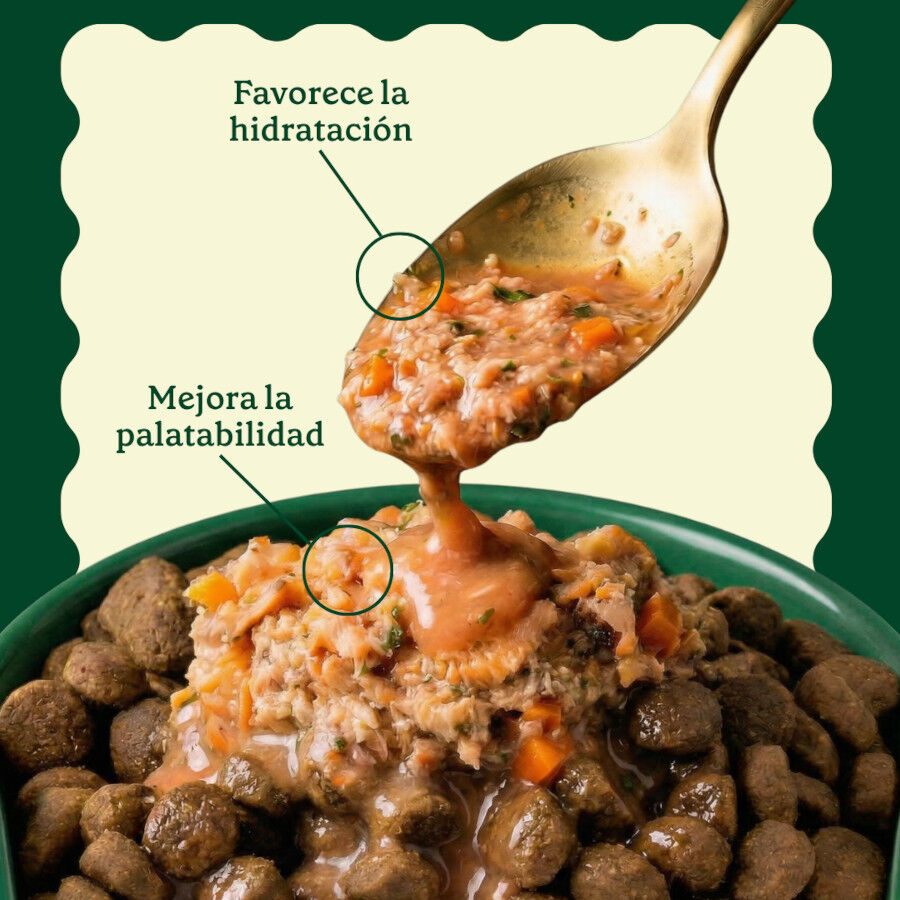 85 g Wild Balance Toppers Salm&oacute;n salsa para perros, , large Imagem n&uacute;mero 4