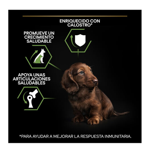 Pro Plan Puppy Small & Mini Healthy Start Frango ração, , large image number null