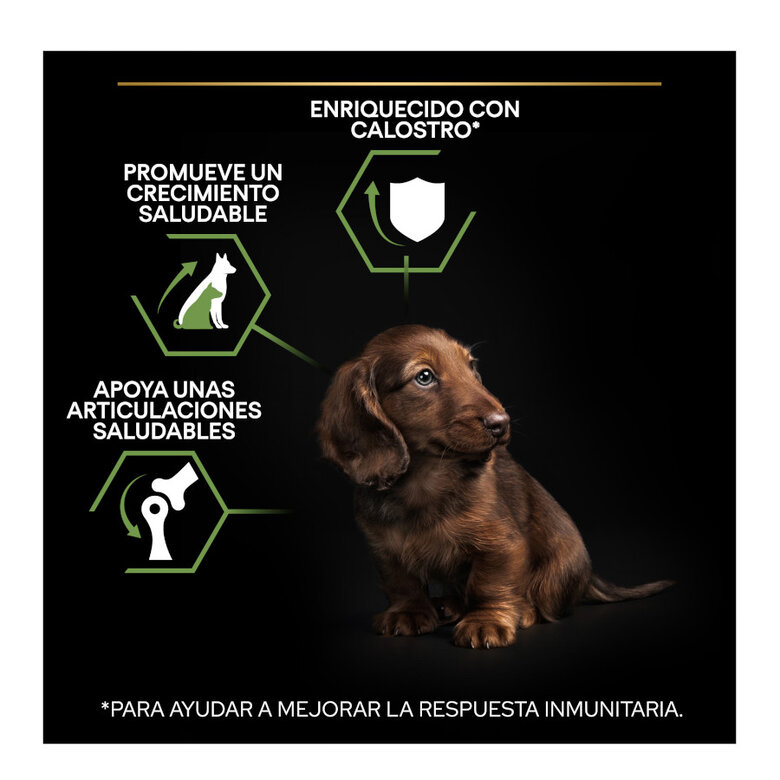 Pro Plan Puppy Small e Mini Healthy Start Frango ração,  Imagem número 3 Pro Plan Puppy Small e Mini Healthy Start Frango ração, , large Imagem número 3