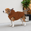Gotoo Casaco Teddy Castanho para c&atilde;es, , large Indicador imagem n&uacute;mero 1