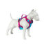 Freedog Cool Pro Tech Peitoral Desportivo Fúscia para cães, , large Indicador imagem número 10