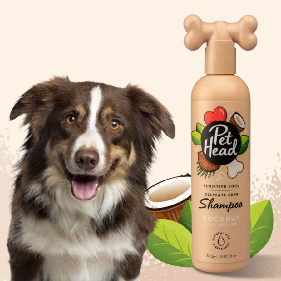 Pet Head Champ&ocirc; Coco para peles sens&iacute;veis para c&atilde;es 300ml, , large Imagem n&uacute;mero 3