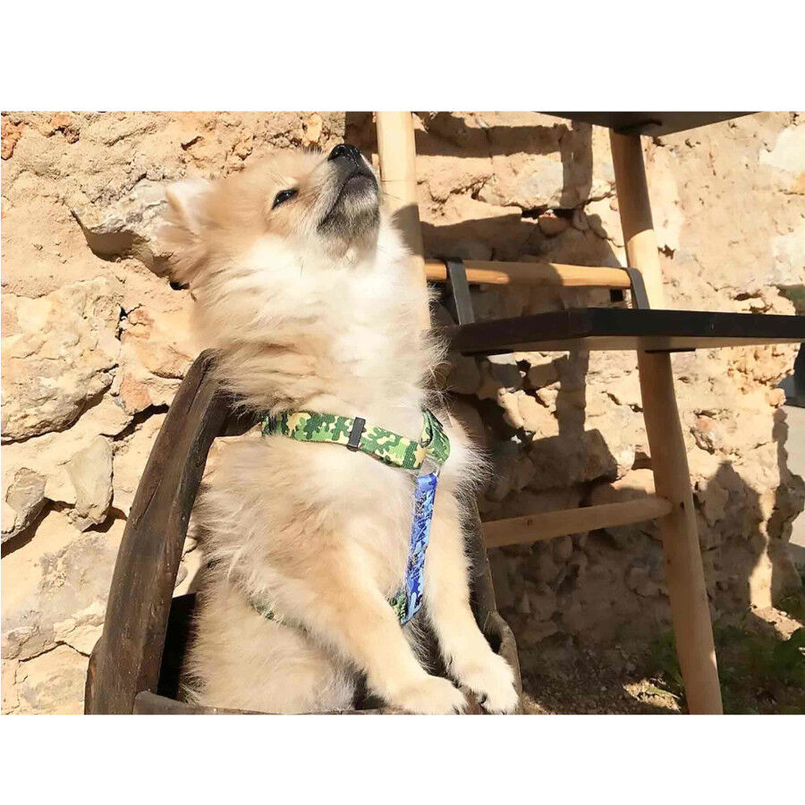 Dukier Camo Cl&aacute;ssico Peitoral com estampado de camuflagem para c&atilde;es, , large Imagem n&uacute;mero 2