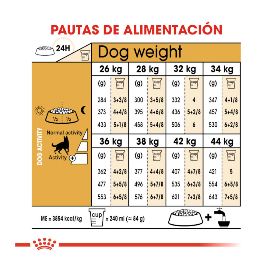 11 kg Royal Canin Adult Pastor Alem&atilde;o ra&ccedil;&atilde;o para c&atilde;es, , large Imagem n&uacute;mero 8