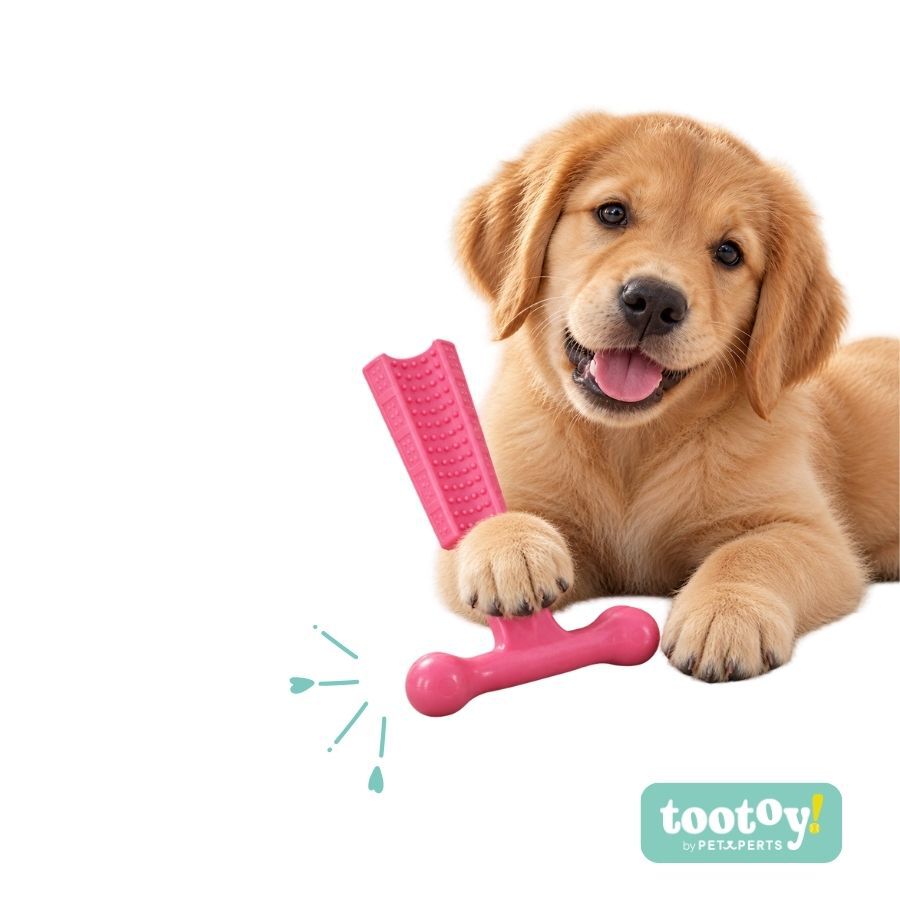 Tootoy! Puppy Mordedor Osso em T Rosa para cachorros, , large Imagem n&uacute;mero 7