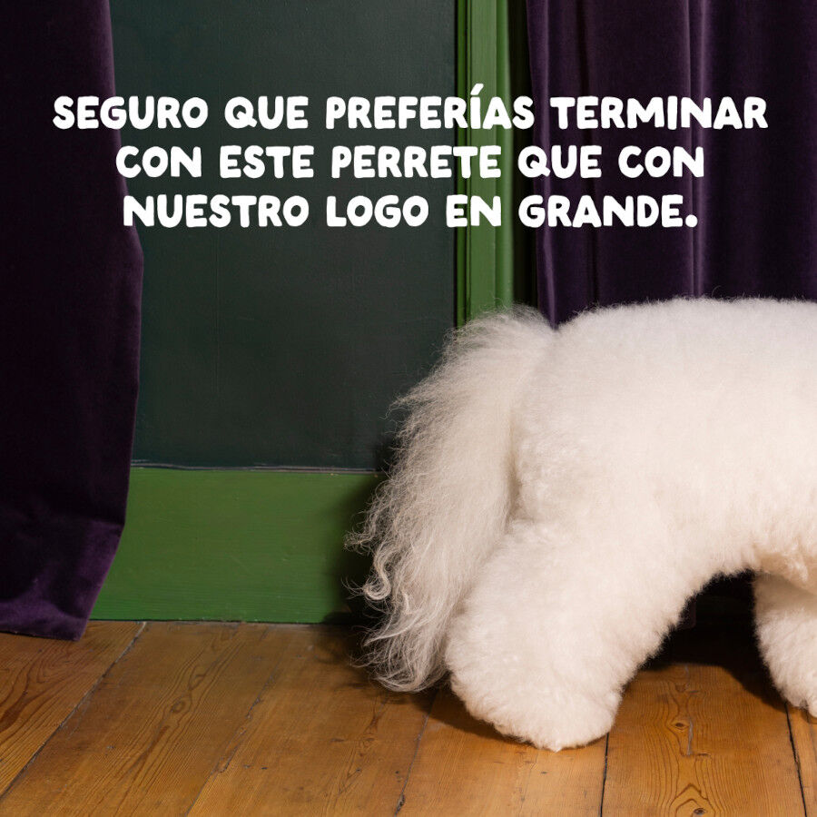 2.5 kg Edgard & Cooper Adult ra&ccedil;&atilde;o Veado e Pato para c&atilde;es, , large Imagem n&uacute;mero 10