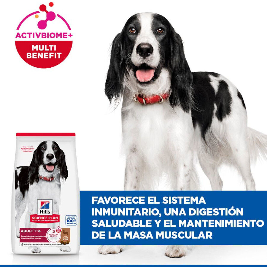 18 kg Hill's Science Plan Adult Medium Cordeiro e Arroz ra&ccedil;&atilde;o para c&atilde;es, , large Imagem n&uacute;mero 4