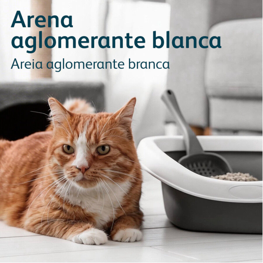 10 L Nova Clean Ultra Areia Aglomerante com Carv&atilde;o Ativado para gatos, , large Imagem n&uacute;mero 6