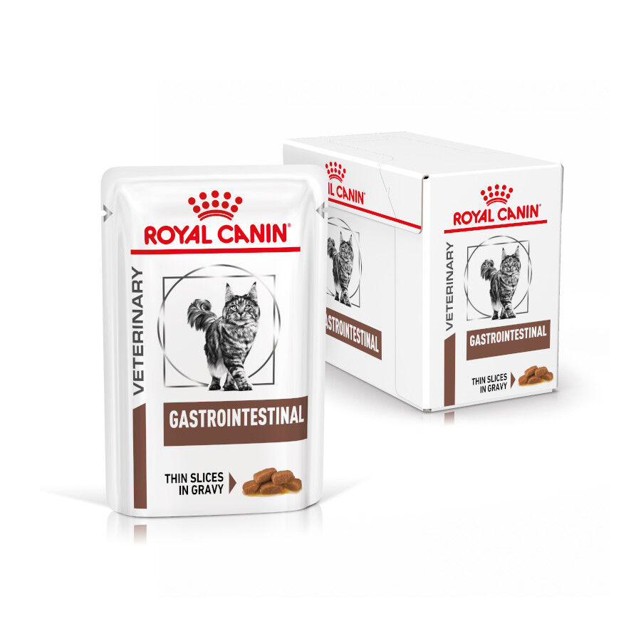 12 saquetas x 85 g Royal Canin Veterinary Gastrointestinal saqueta em molho para gatos, , large Imagem n&uacute;mero 2
