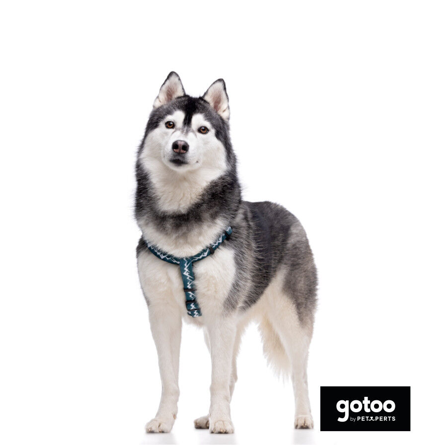 Gotoo peitoral estampado verde para c&atilde;es, , large Imagem n&uacute;mero 3