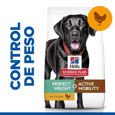 Hill's Science Plan Perfect Weight & Active Mobility frango ração para cães
