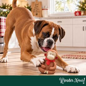 Wonder Christmas Macaco L&aacute;tex Brinquedo para c&atilde;es