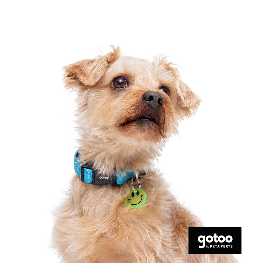 Gotoo Coleira reflexiva de nlyon azul para c&atilde;es, , large Imagem n&uacute;mero 5