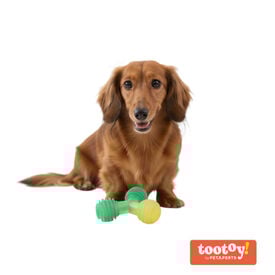 Tootoy! Chew Mordedor bola tripla para c&atilde;es