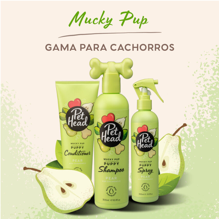 Pet Head Champ&ocirc; seco p&ecirc;ra para c&atilde;es 300ml, , large Imagem n&uacute;mero 5