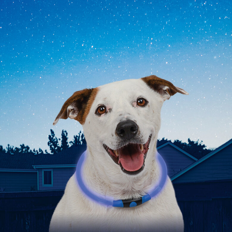 Colar Nite Ize NiteHowl Coleira com luz LED azul para cães,  Imagem número 2 Colar Nite Ize NiteHowl Coleira com luz LED azul para cães, , large Imagem número 2