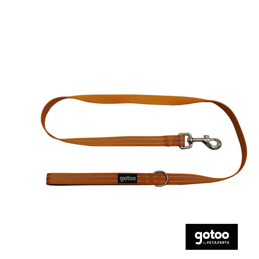 Gotoo Trela de nylon refletora laranja para c&atilde;es, , large Imagem n&uacute;mero 2