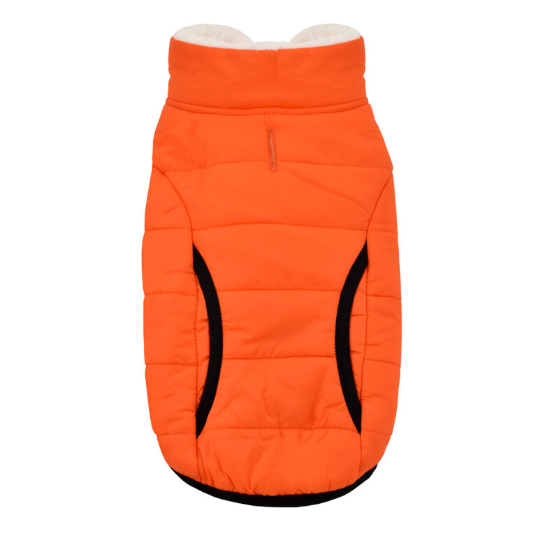 Outech Pawprint Casaco de cachorro,  Imagem número 2 Outech Pawprint Casaco de cachorro, , large Imagem número 2