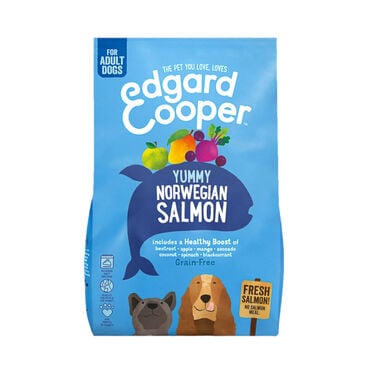 Edgard & Cooper Adult Salmão ração para cães