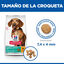 6 kg Hill's Science Plan Perfect Weight Adult Small & Mini Ração para cães, , large Indicador imagem número 4