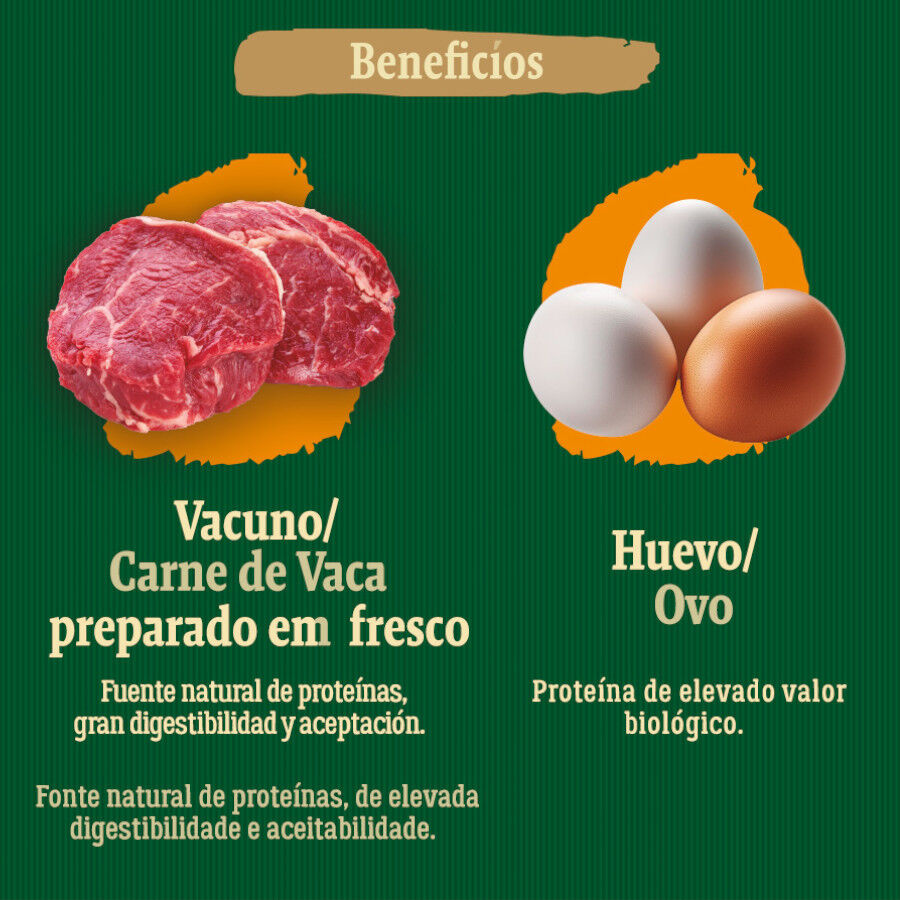 12 kg True Origins Wild Adult Redlands Vitela ra&ccedil;&atilde;o para c&atilde;es, , large Imagem n&uacute;mero 5