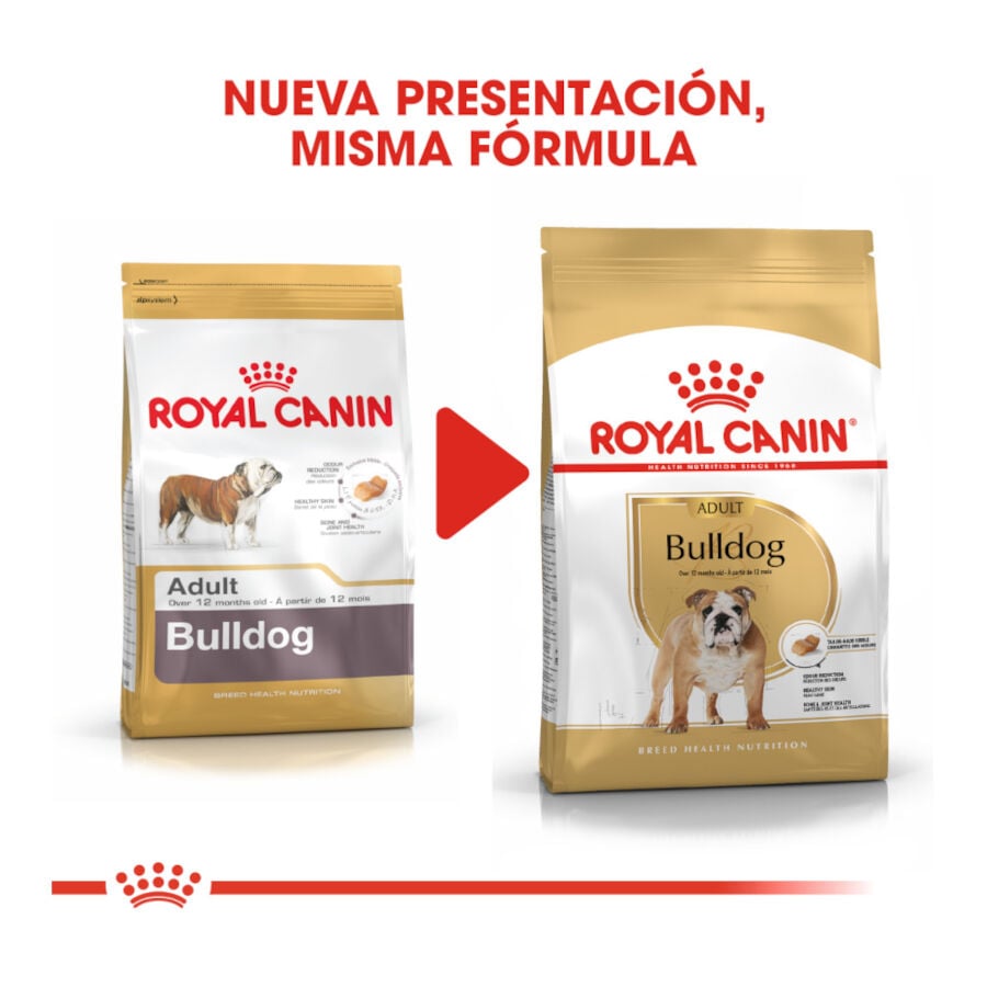 12 kg Royal Canin Adult Bulldog ração para cães de raça
