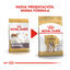 12 kg Royal Canin Adult Bulldog ração para cães de raça, , large Indicador imagem número 3