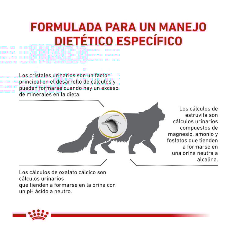 7 kg Royal Canin Veterinary Urinary ração para gatos,  Imagem número 5 7 kg Royal Canin Veterinary Urinary ração para gatos, , large Imagem número 5