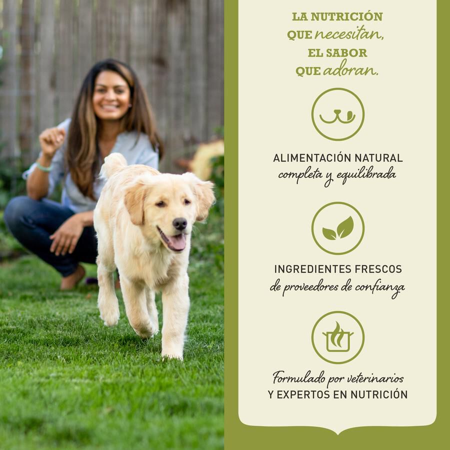 6 kg Acana Adult Small Breed ra&ccedil;&atilde;o para c&atilde;es, , large Imagem n&uacute;mero 6