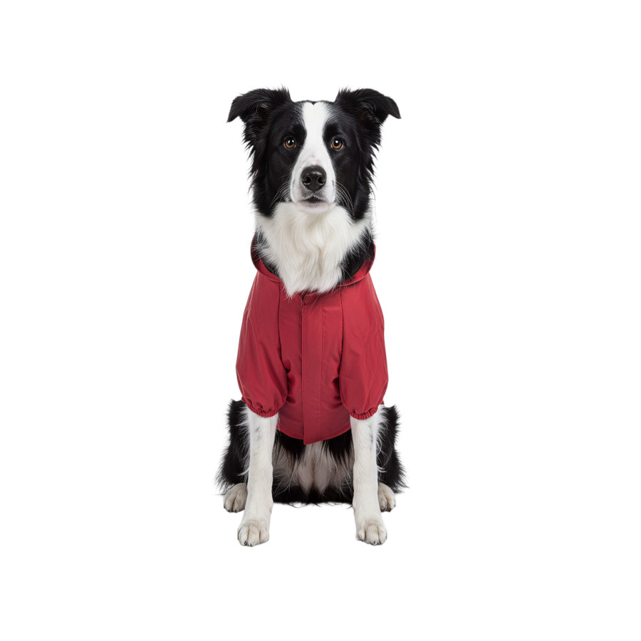 Gotoo Casaco Imperme&aacute;vel Refletor Vermelho para c&atilde;es, , large Imagem n&uacute;mero 7