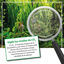 Microbe-Lift Bio CO2 Fertilizante líquido de carbono para aquários, , large Indicador imagem número 3