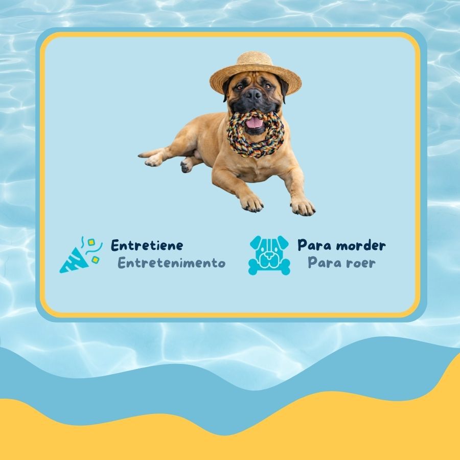 Summer Vibes Dolce Vita Rope Ring Brinquedo para c&atilde;es, , large Imagem n&uacute;mero 3