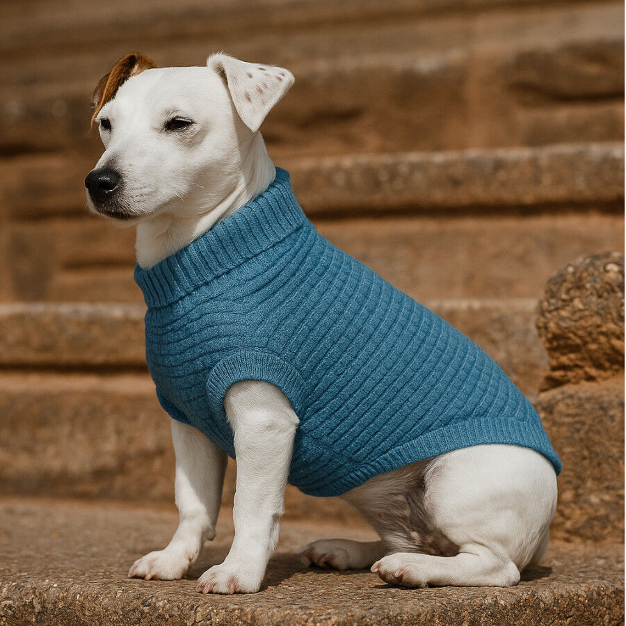 Freedog Frapp Camisola azul para c&atilde;es, , large Imagem n&uacute;mero 1