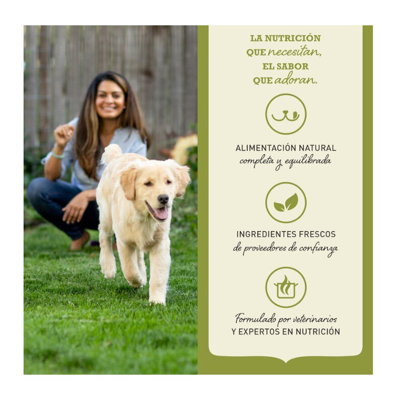 6 kg Acana Puppy Small Breed ração para cães,  Imagem número 6 6 kg Acana Puppy Small Breed ração para cães, , large Imagem número 6