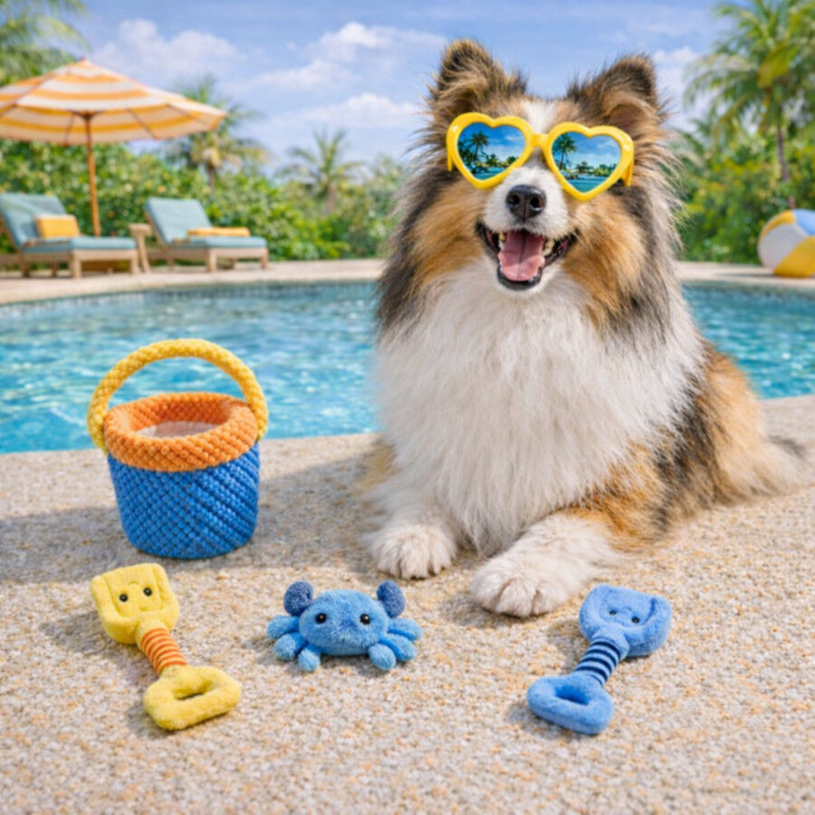 Summer Vibes Beach Set x4 Kit de Brinquedos para c&atilde;es, , large Imagem n&uacute;mero 1